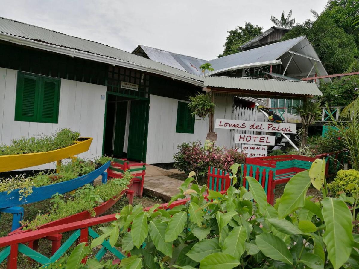 Hotel Lomas Del Paiyue Puerto Nariño 外观 照片