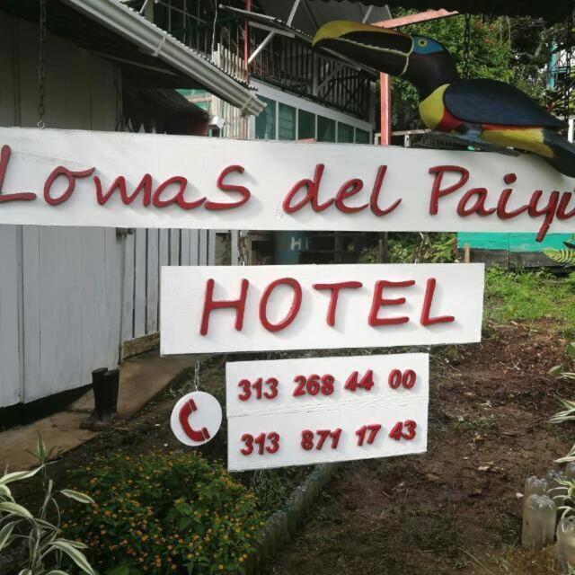 Hotel Lomas Del Paiyue Puerto Nariño 外观 照片